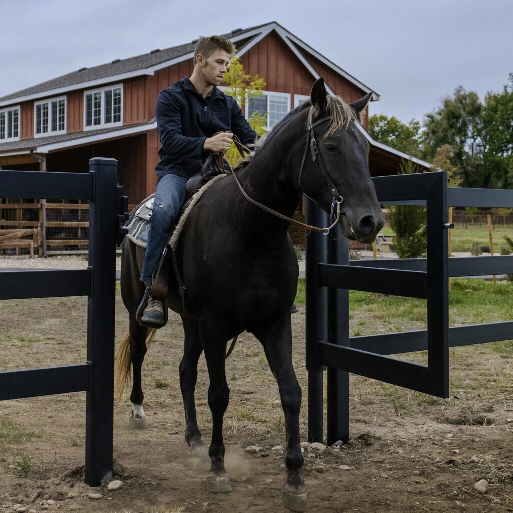Man taking the horse to a walk- Stock and Noble