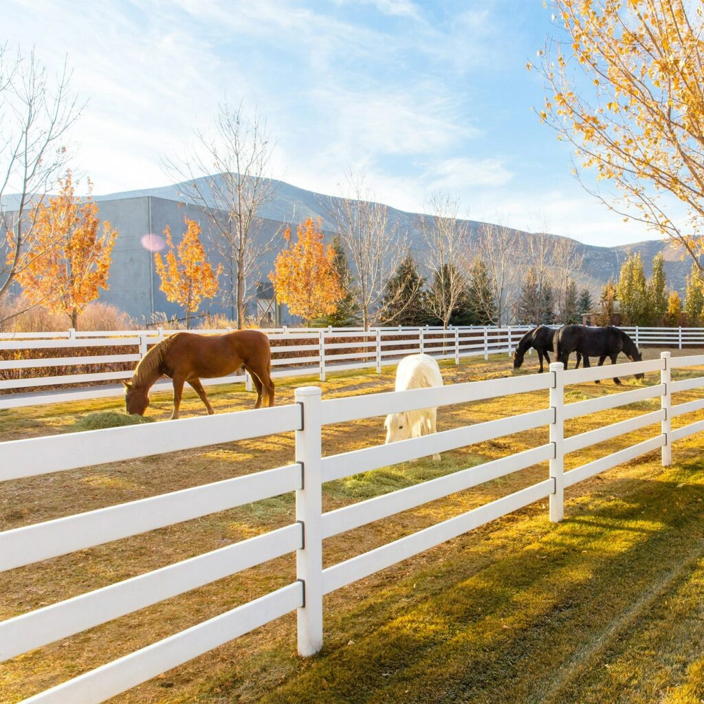 Eating horses- Stock and Noble