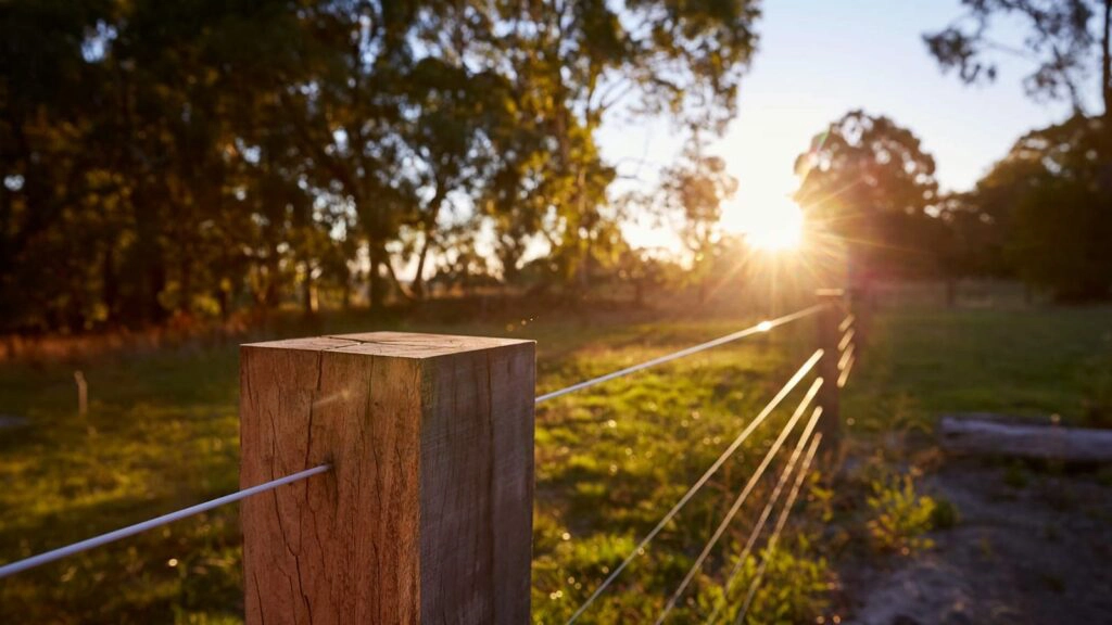Borderline Fence - Stock and Noble