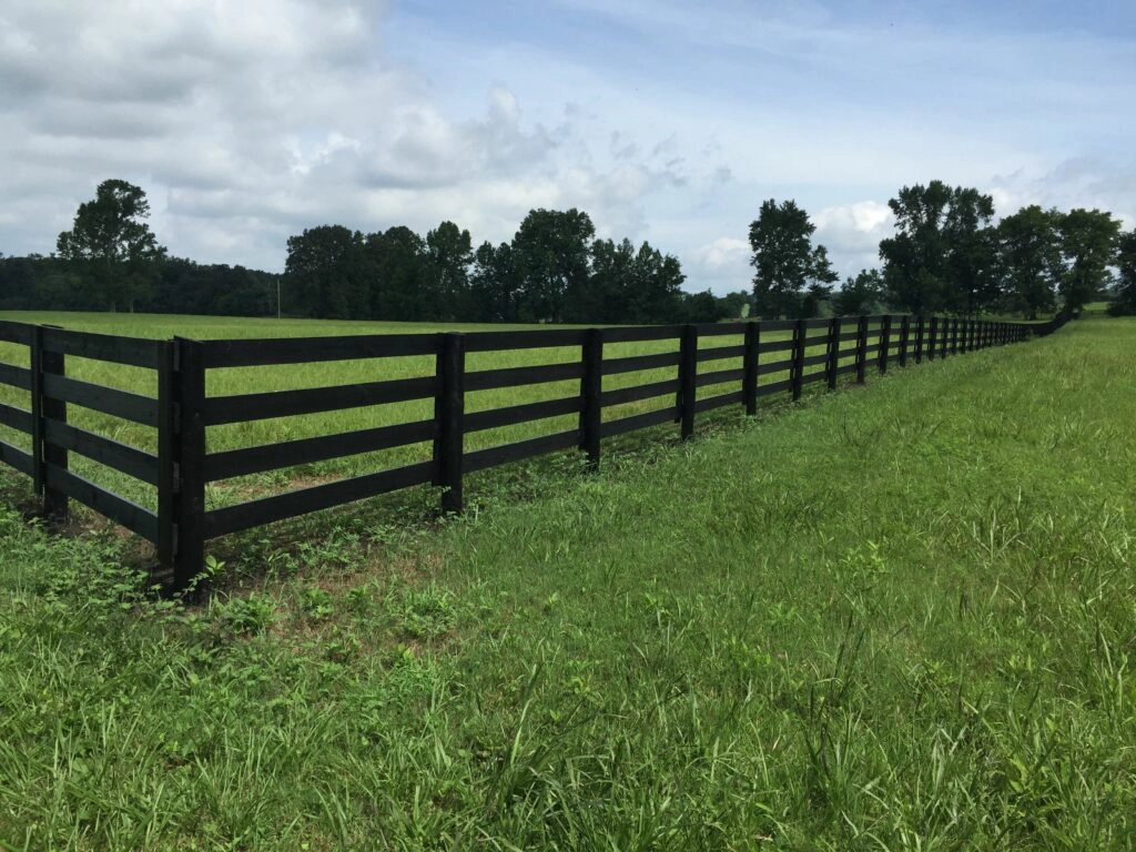 Black Steel Fencing - Stock and Noble