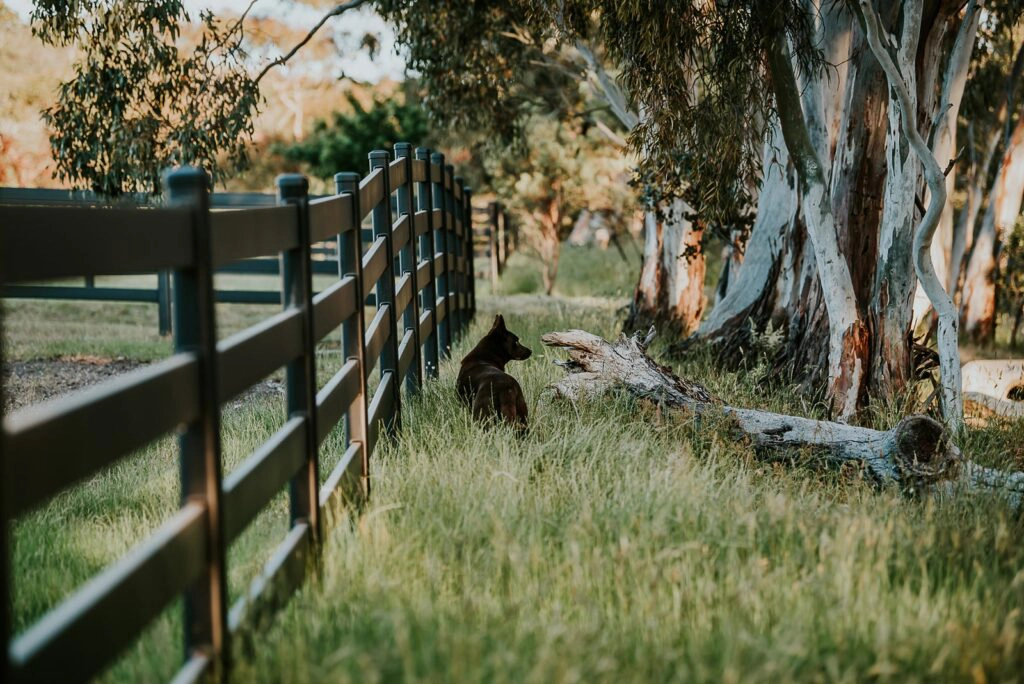 Stock and Noble - Premium Steel Post and Rail