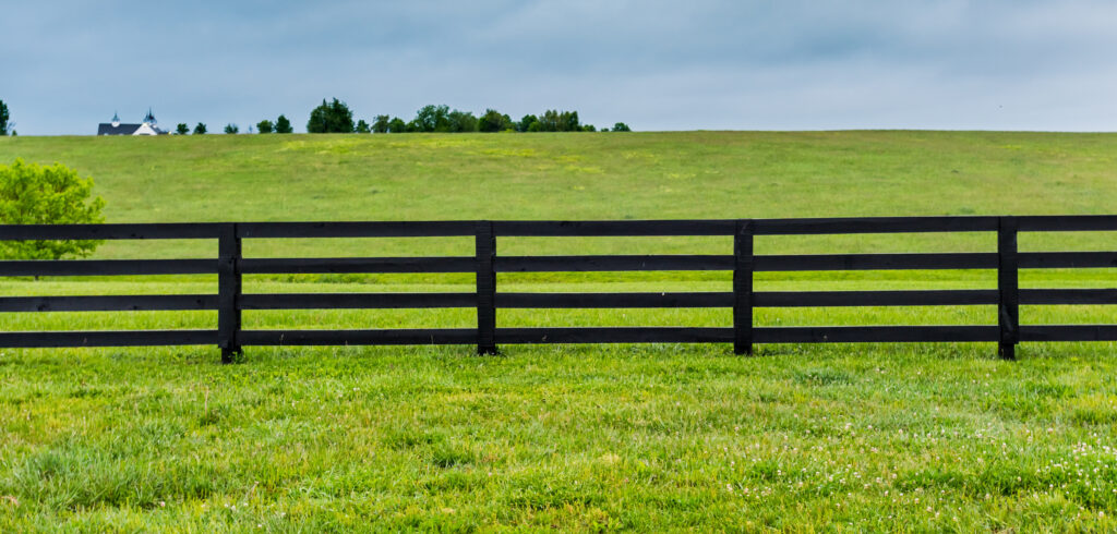 best timber fence paint