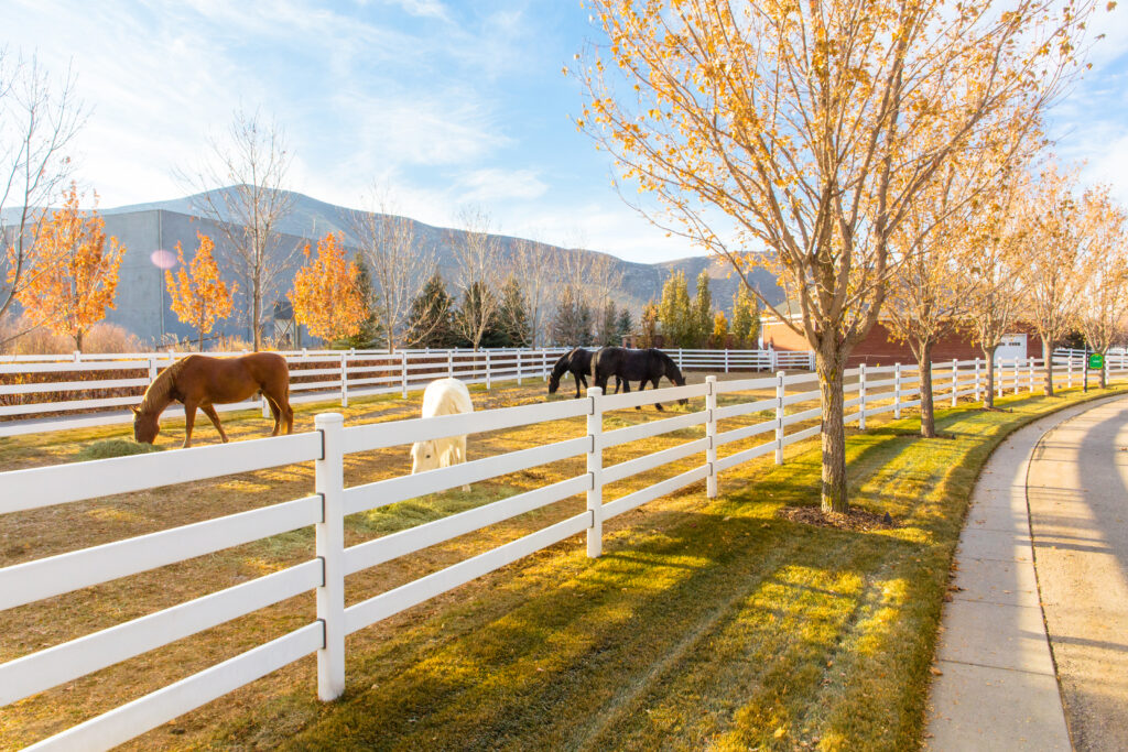 Best Steel Fences