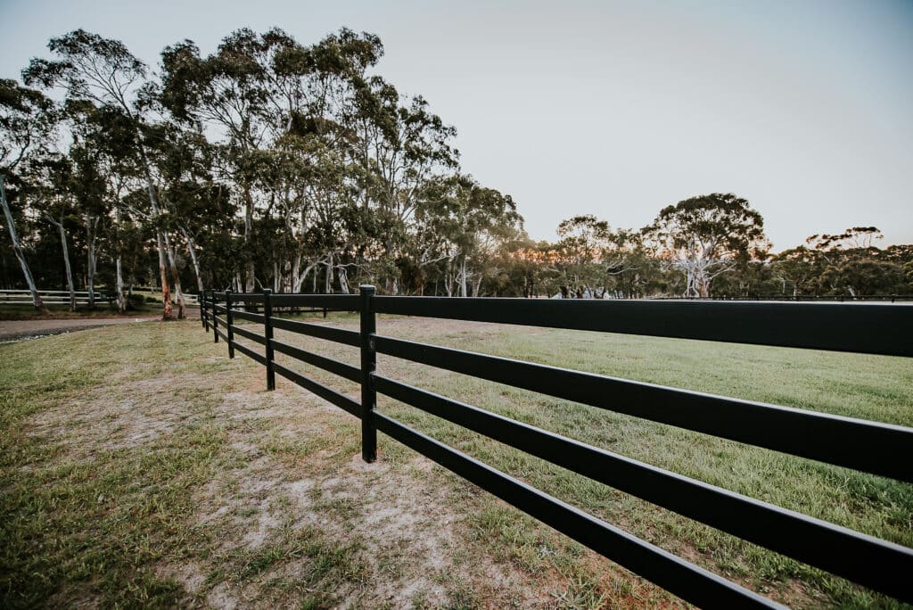 black steel post and rail