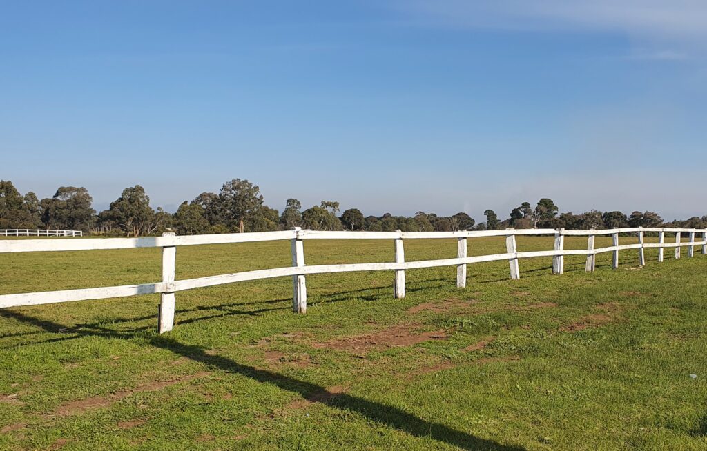 Timber post and rail