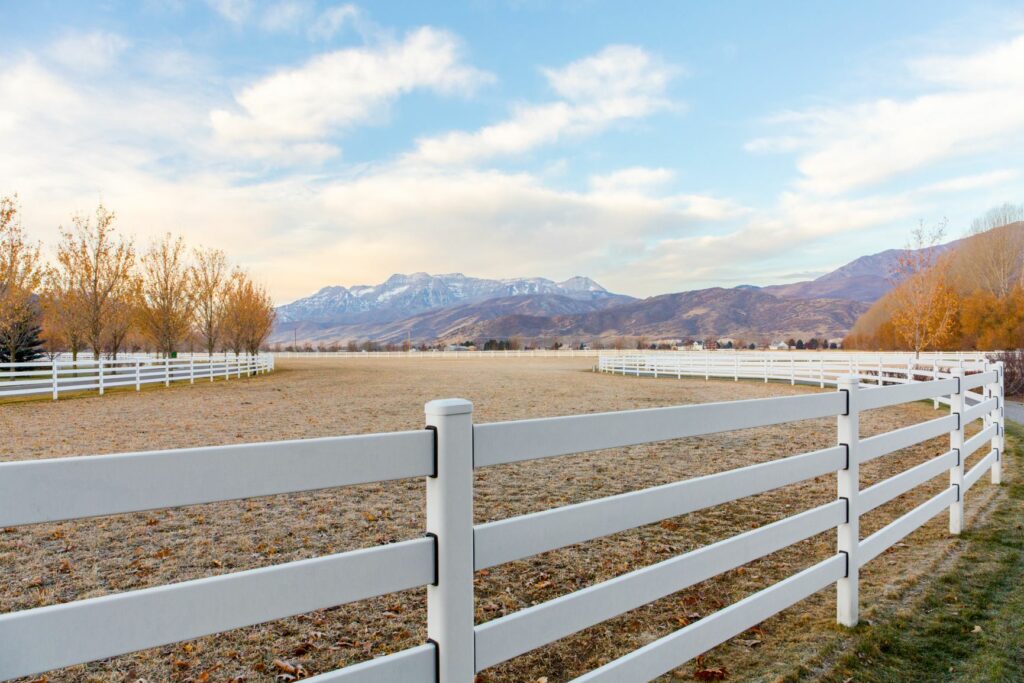 Water-based paints for horse fences: Everything you need to know