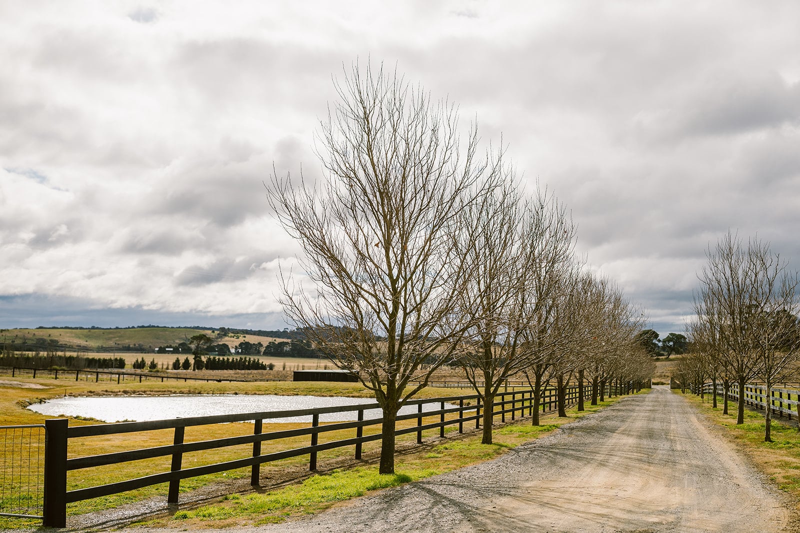 horse fence