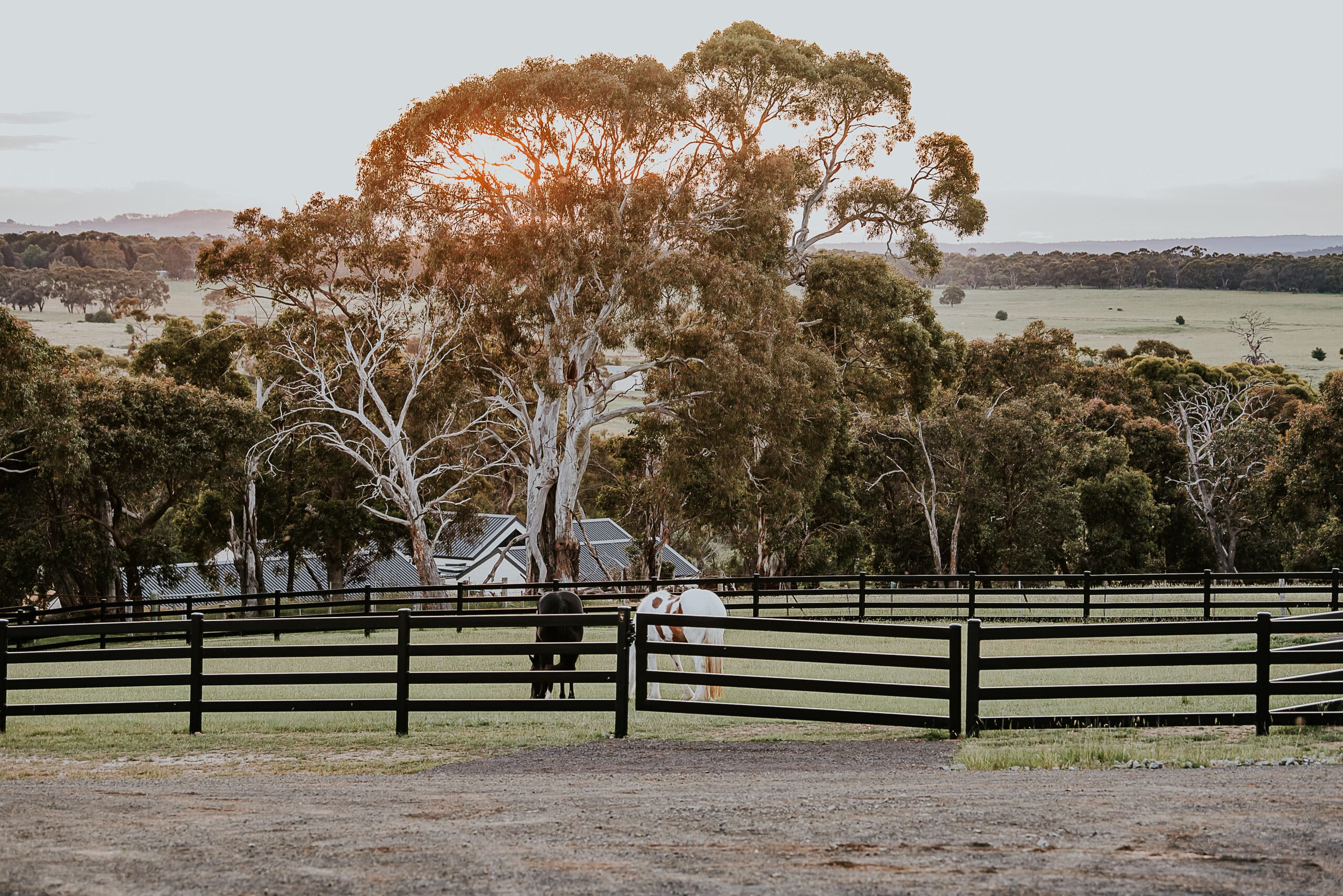 Steel post and rail fencing