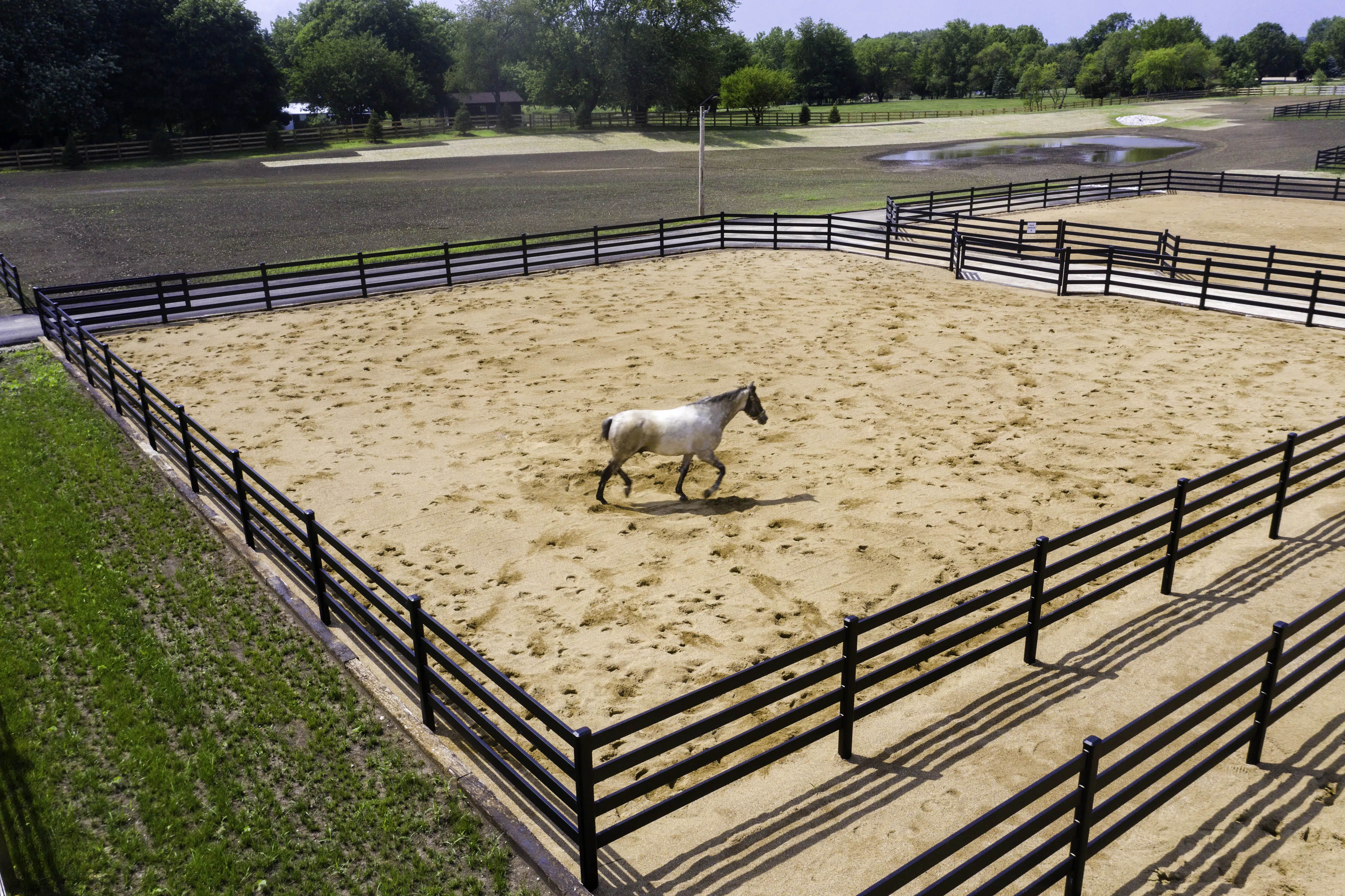 Horse arena - Horse fencing - Premium steel post and rail fencing