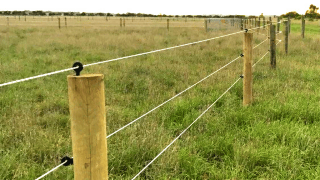 Electric fencing for deals horses