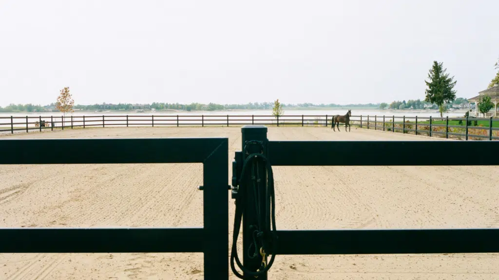 Buckley horse arena fencing