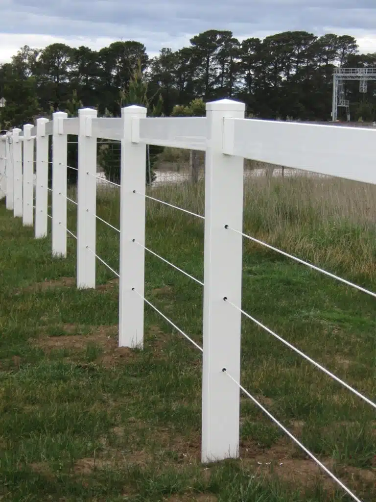 Border Line Horse sighter wire