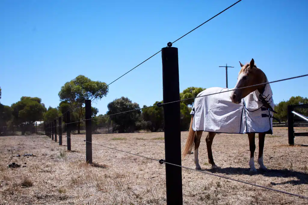 electric fence for horses