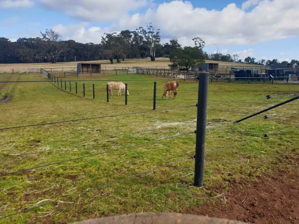 legacy line electric