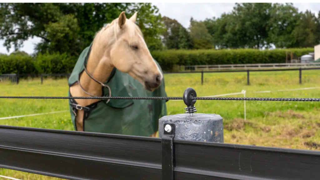 electric fence for horses