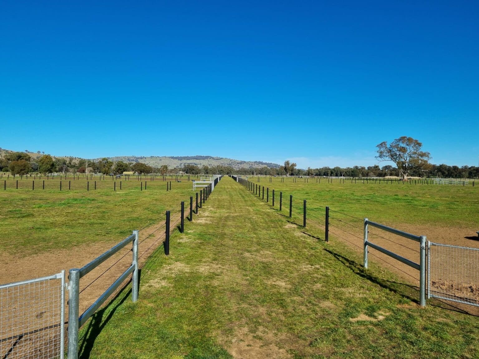 Best horse fencing design ideas in 2024