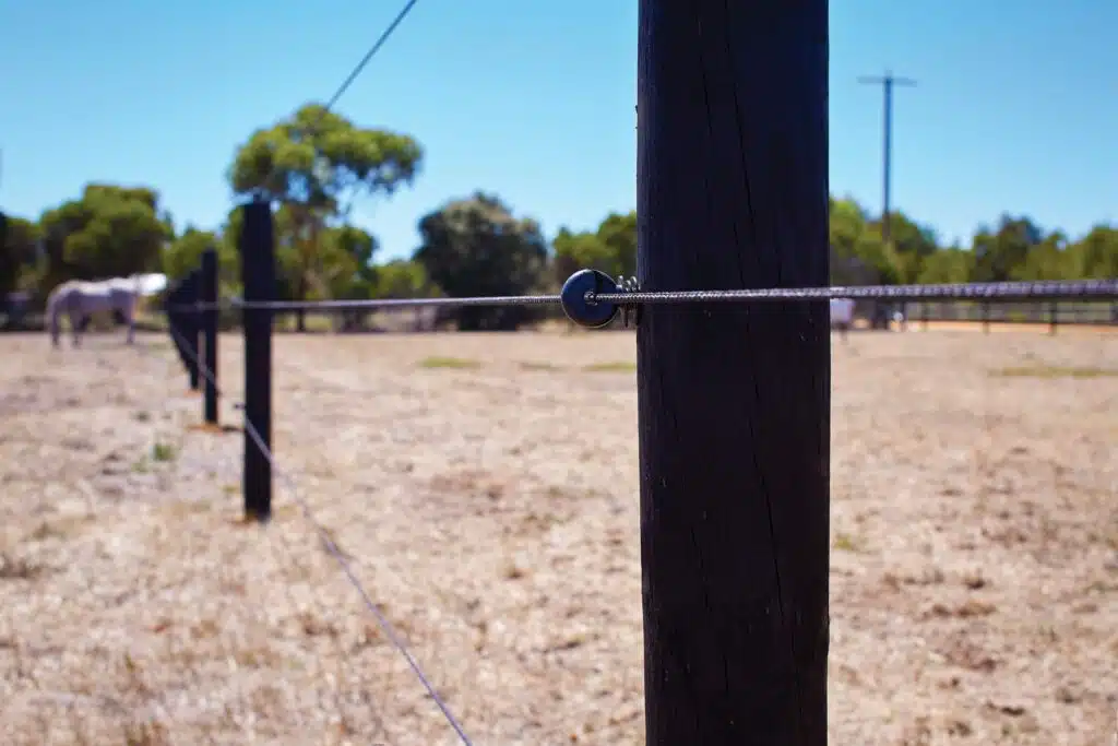 EquiRope electric fence for horses