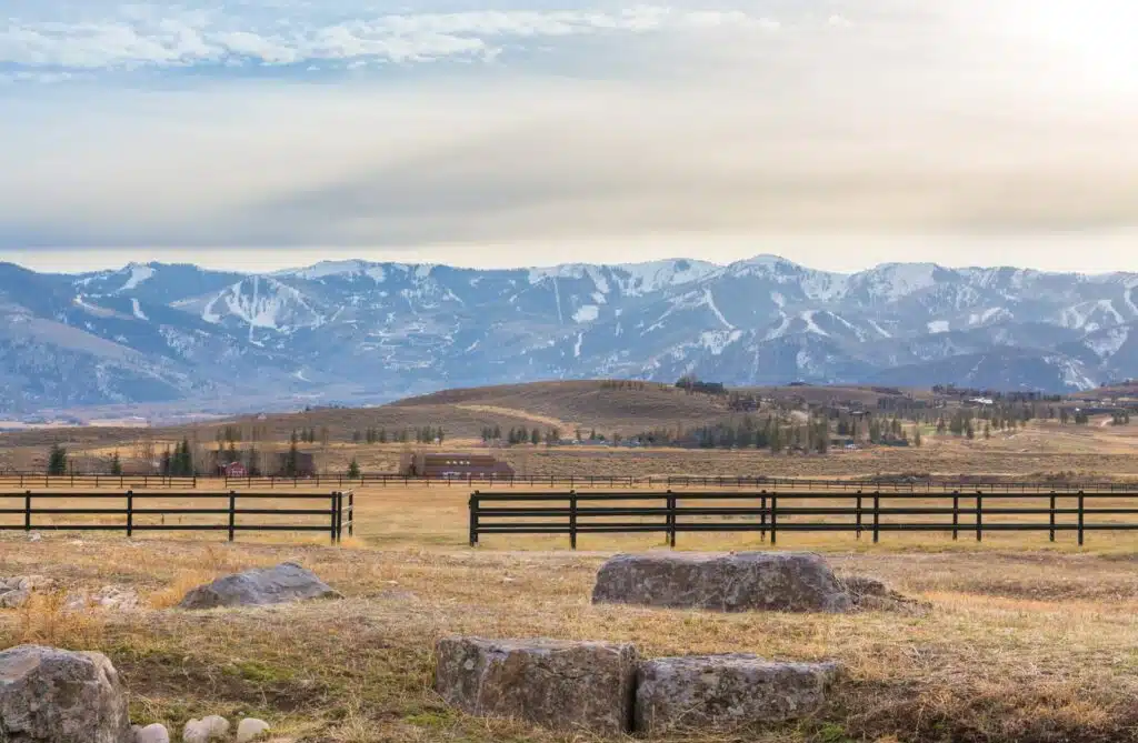 Stock and Noble Premium Steel Post and Rail Fencing, Black, 3 Rail-6