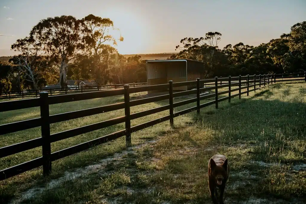 Stock and Noble Premium Steel Post and Rail Fencing, Black, 4 Rail-3