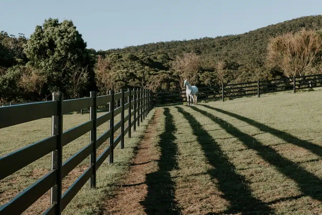 Stock and Noble Premium Steel Post and Rail Fencing, Black, 4 Rail with horse-12