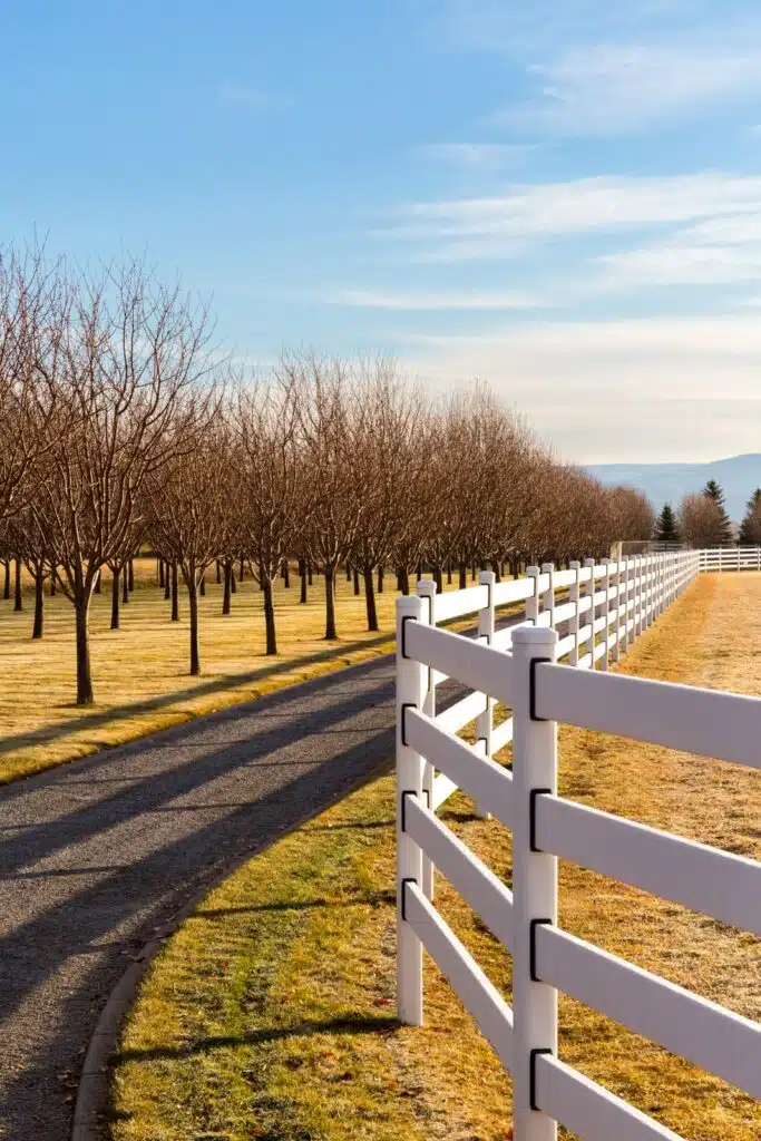 Stock and Noble Premium Steel Post and Rail Fencing, White, 4 Rail-8