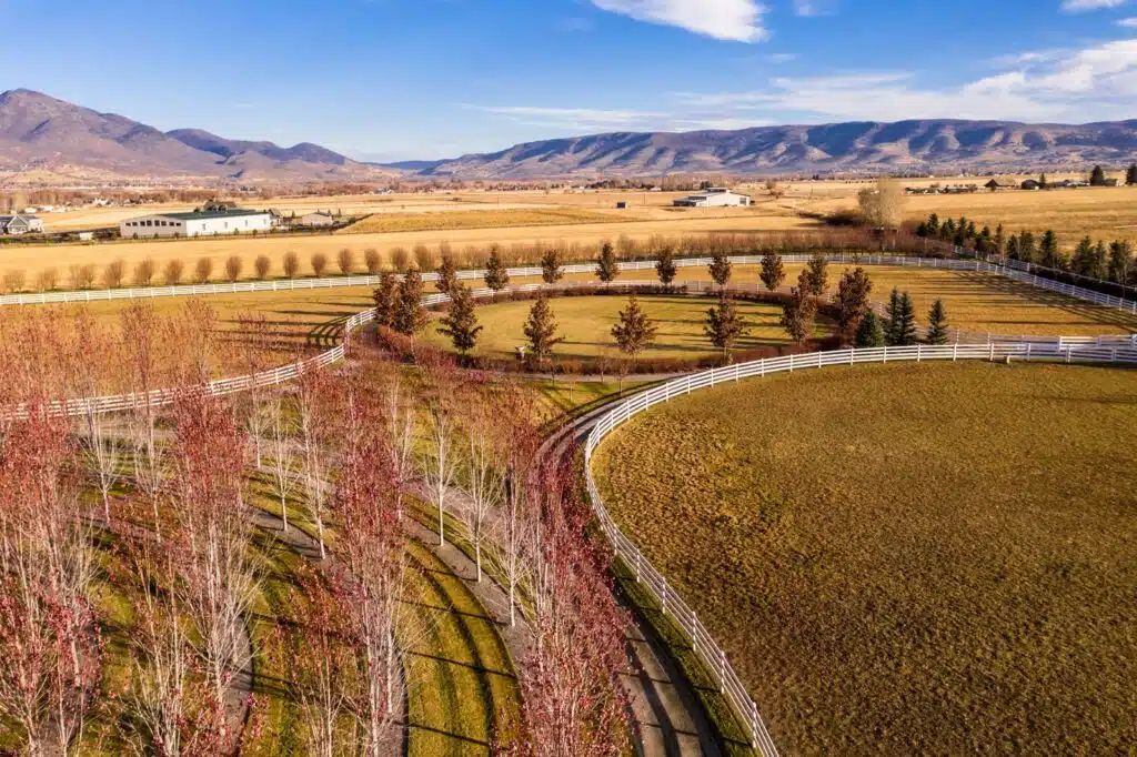 Stock and Noble Premium Steel Post and Rail Fencing, White, 4 Rail, Wide view-1