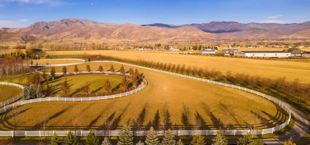 Stock and Noble Premium Steel Post and Rail Fencing, White, 4 Rail, Wide view-5