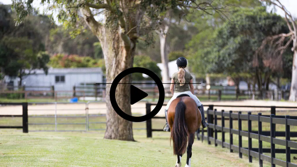 steel post and rail on horse property