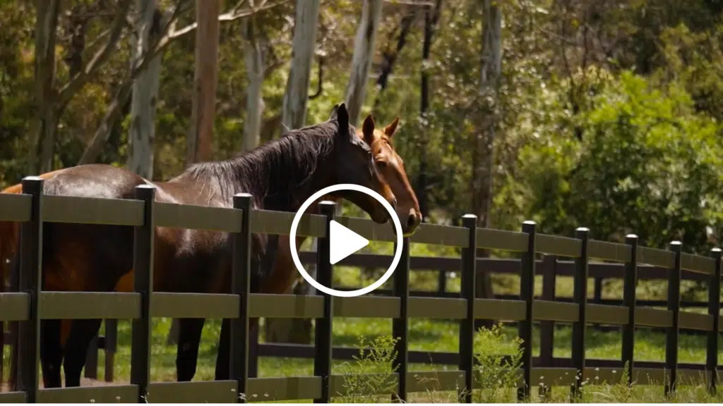 Horse fencing - horse property in NSW