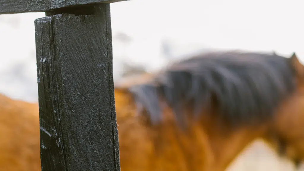 eco-friendly fence paint