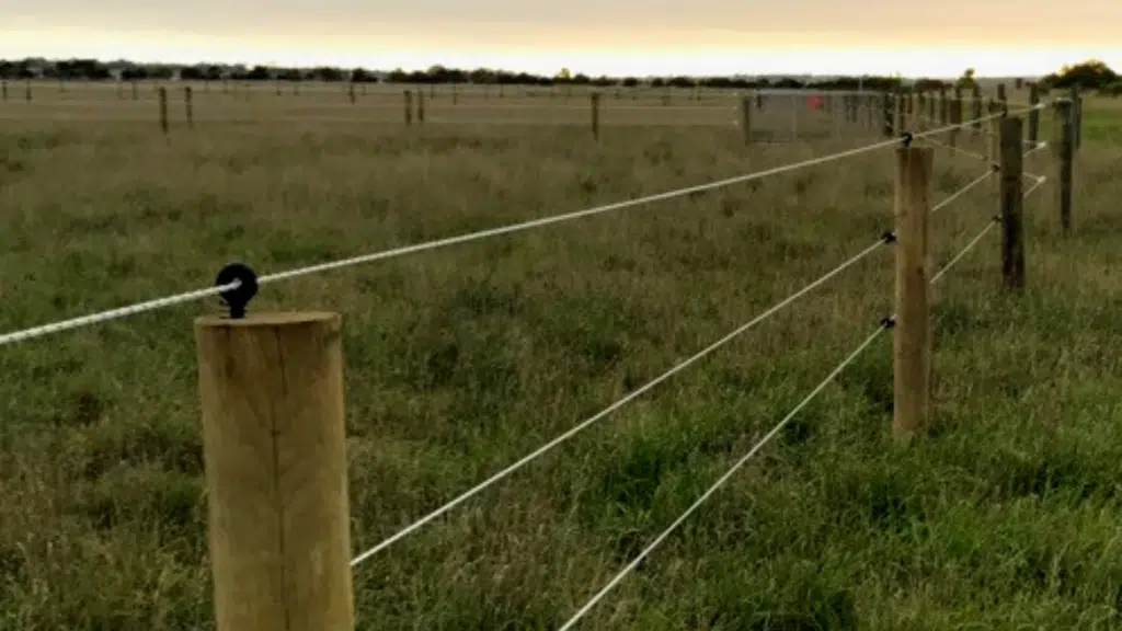 equirope - electric fence for horses