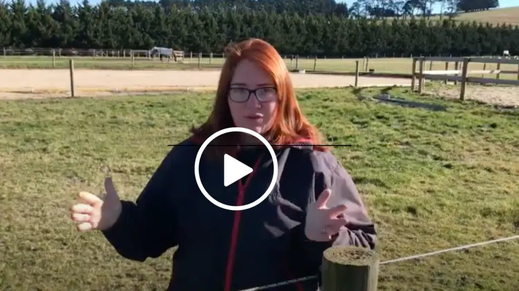 Equine vet review of EquiRope - electric fence for horses, electric rope