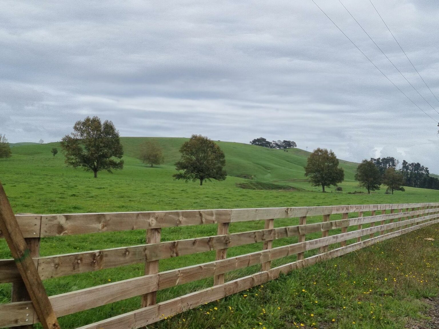 Cost of Treated Pine Post and Rail Fencing Buying and Installing