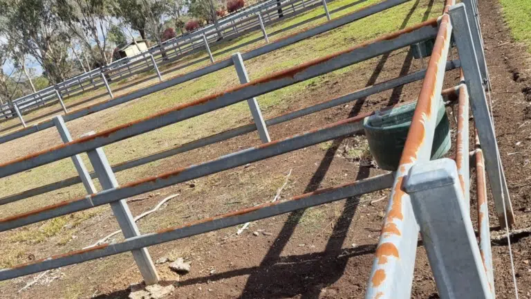 cattle rail fences - need to be maintained