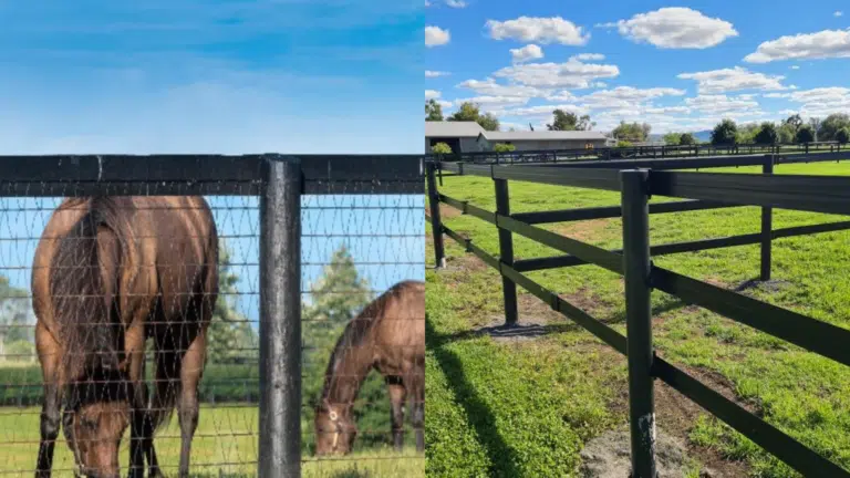 Horserail vs. horse mesh - horse fencing - foaling yard