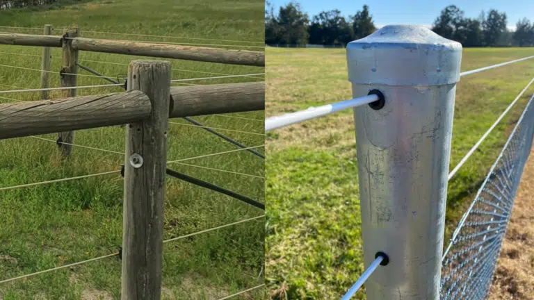 Treated Pine Post and Steel fence post - fencing - comparison