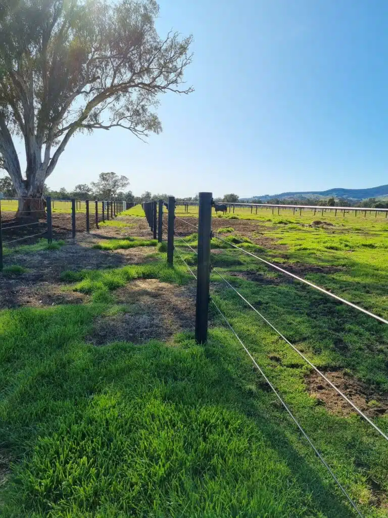 Plastic fence post - hogan fence post - fence post