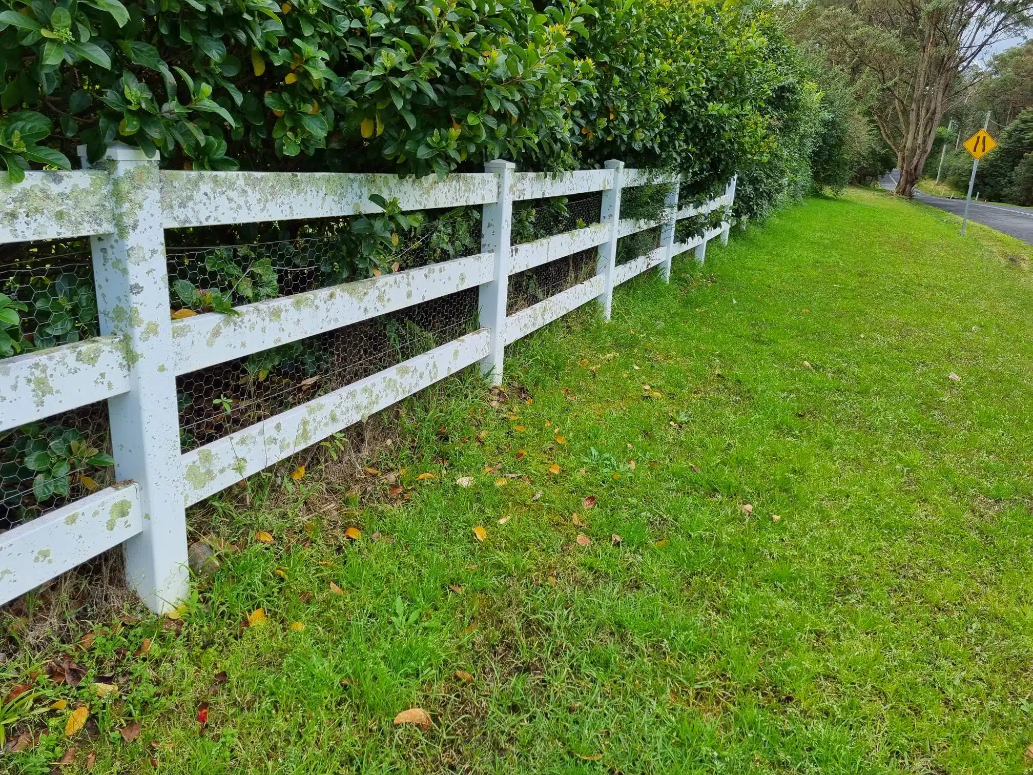 PVC Post and Rail fence