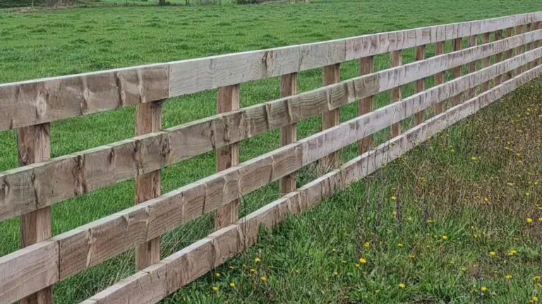 Timber post and rail fence - fencing