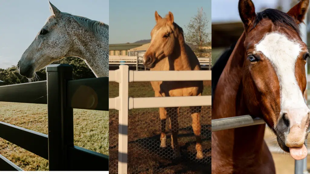 Types of steel post and rail fencing - horse fencing