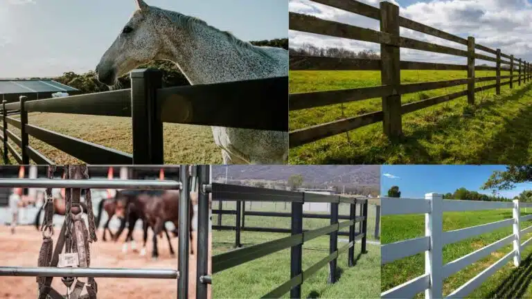 Different types of post and rail fencing - timber post and rail, cattle rail, steel post and rail, horserail, PVC post and rail