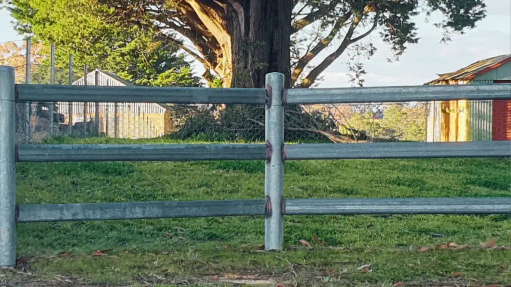 Cattle rail fence - steel post and rail