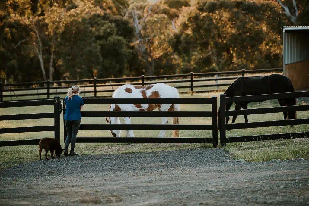 Stock and Noble premium steel gates