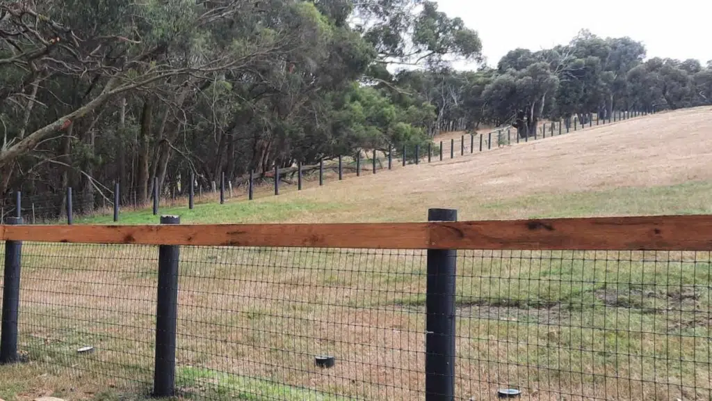 Steel mesh attached to timber post and rail fencing