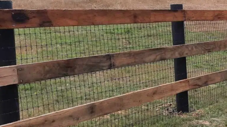 Black mesh - equine mesh - mesh fencing - safe horse fencing