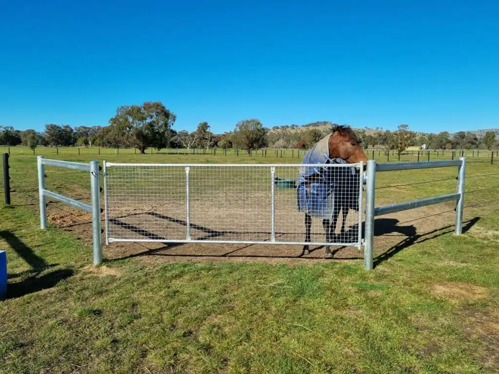 steel gate with end assembly