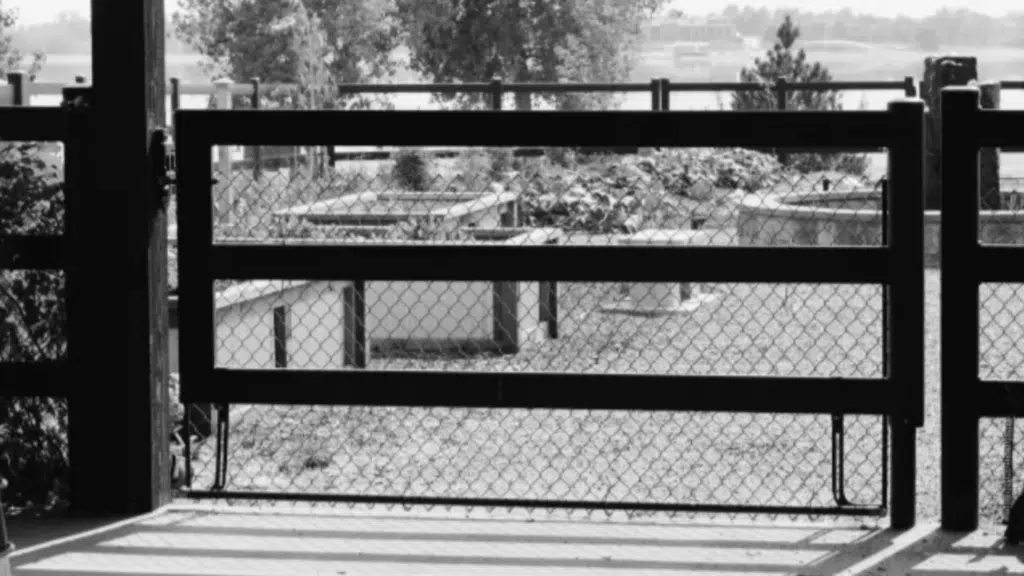 Mesh attached to premium steel post and rail fencing