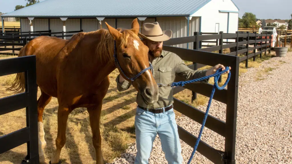 fence gate-horse property-paddock gate