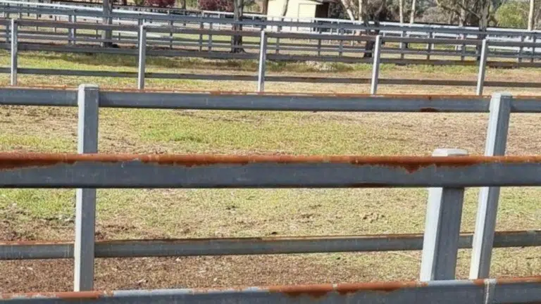 Cattle Rail - steel post and rail fencing