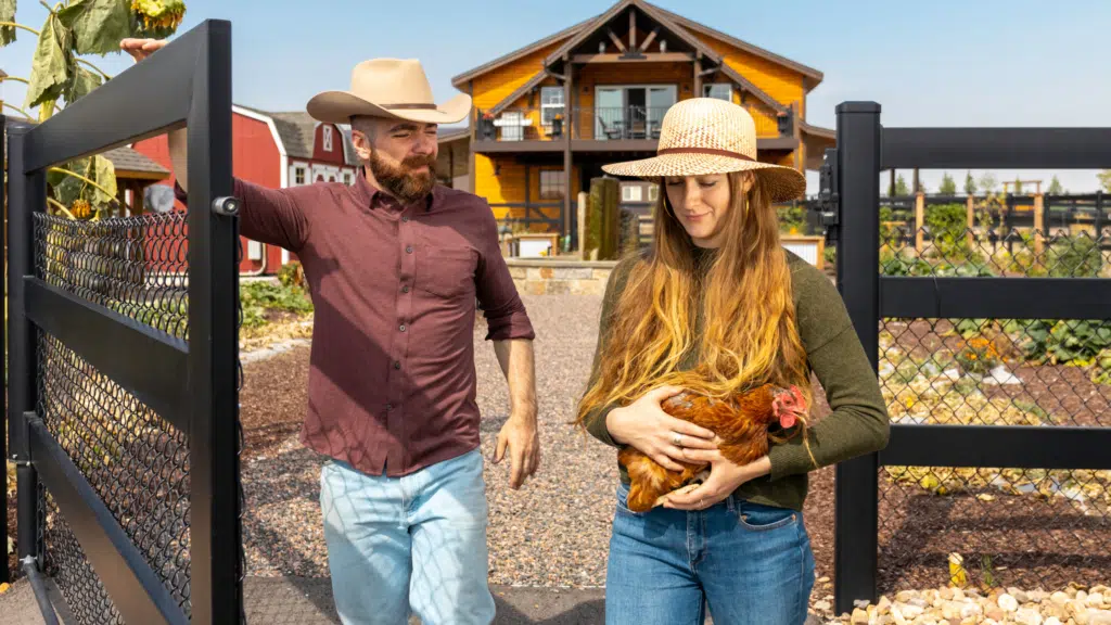 Premium steel gate from Stock & Noble